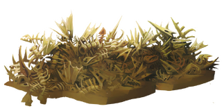 Des carcasses de poissons dans Rayman Legends (parmi lesquelles on distingue des espadons et des baudroies).