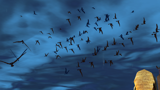 Une nuée d'oiseaux dans les Marais Crapoteux.