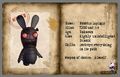 Fiche d'identité des Lapins Dustriels.