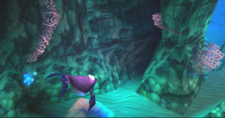 Whale Bay
