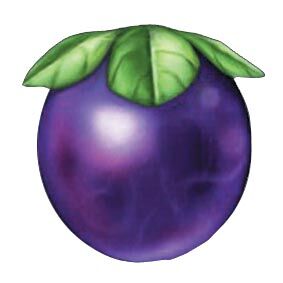 File:R1 site plum.jpg