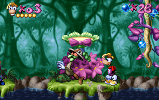Livingstones go crazy when they survive a punch or are subjected to a grimace.