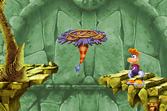 One type of water lily, as seen in the Game Boy Advance version of Rayman 3.