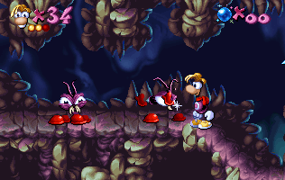 A group of spiders.