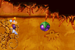 A plum, as seen in the Game Boy Advance version of Rayman 3.