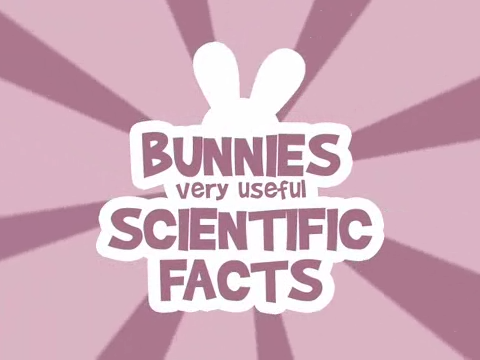 File:BunniesVeryUsefulScientificFacts.png