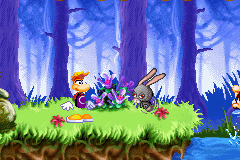 A boxer rabbid running around.