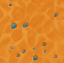 Texture of the Snoot's body