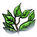 File:Mnu fore.png