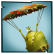 Thumbnail for version as of 14:14, 15 October 2014