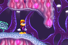 Living Cavern, the fourth of the Organic Cave's five levels