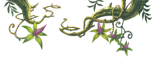 File:Brancheshaut hd.png