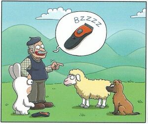 Givrés! Sheep.jpg