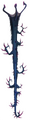 Thumbnail for version as of 02:28, 30 March 2025
