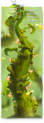 A teaser for the Lucky Tickets