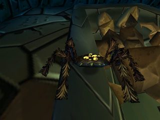 A small spider seen in first-person mode in the Tomb of the Ancients