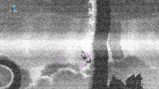 The greyscale and screen noise effect.