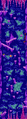 Thumbnail for version as of 14:13, 26 January 2021