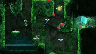 The first Skull Coin and the first secret area.