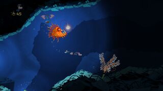 An anglerfish in Swimming with Stars