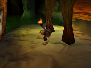 A torch in the Echoing Caves