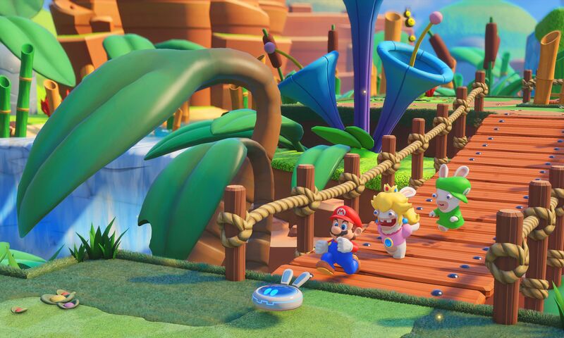 File:Mario+rabbidsrun.jpg