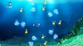 A group of jellyfish moving around in a circle.