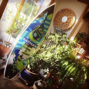 Michel Ancel Rayman Legends Surfboard.jpg