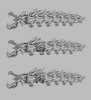RL-Artwork6.jpg