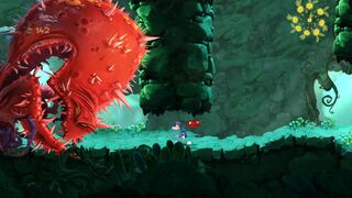 Carnivora will constantly knock its head against the wall, trying to break it to get through to the other side.