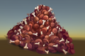 Thumbnail for version as of 12:16, 26 December 2025