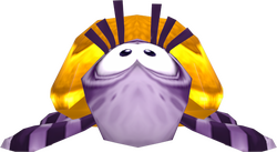 Tortoise