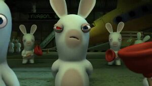 Rabbid chief