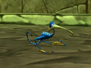 Bird Xowar.JPG