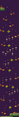 Thumbnail for version as of 19:35, 8 February 2021