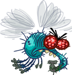 A scrapped big fly.