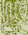 Thumbnail for version as of 19:34, 8 February 2021