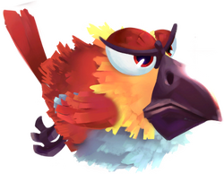 Colorful bird