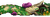 Tree trunk