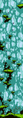 Thumbnail for version as of 14:13, 26 January 2021