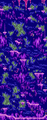 Thumbnail for version as of 14:12, 26 January 2021