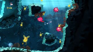 A few spiky fish can be seen before the area ends.