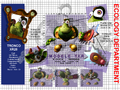 Thumbnail for version as of 19:31, 21 April 2017