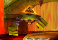 Thumbnail for version as of 19:56, 4 March 2009