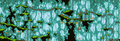 Thumbnail for version as of 14:12, 26 January 2021