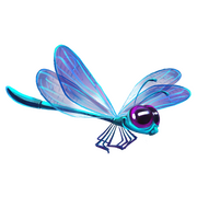 A Dragonfly