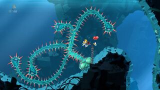 Sea anemone