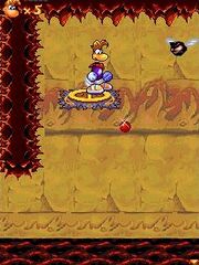 A wooden water lily in the mobile phone version of Rayman 3