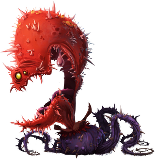 Carnivora