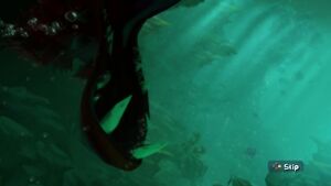 There's Always a Bigger Fish 3.jpg